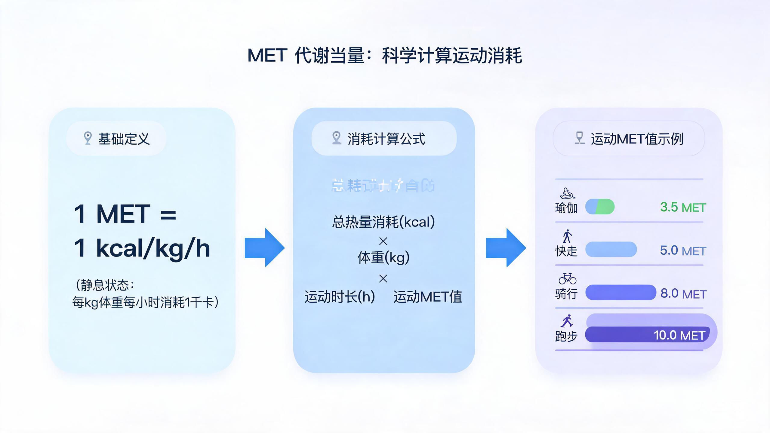 MET 代谢当量公式深度解读:600+ 运动类型怎么算消耗才科学